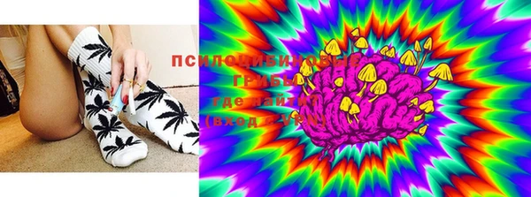 PSILOCYBIN Баксан
