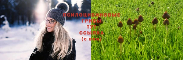 PSILOCYBIN Баксан