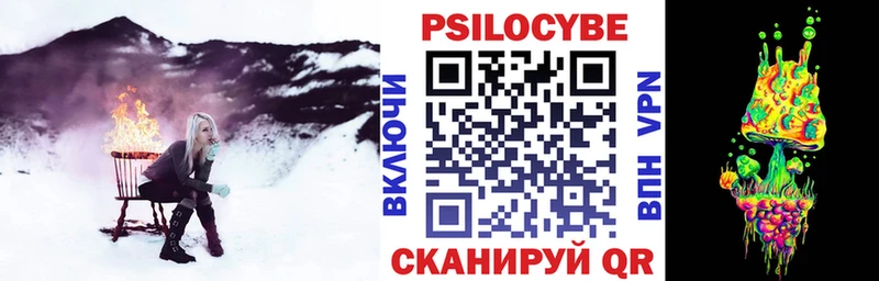где продают наркотики  KRAKEN ссылка  Галлюциногенные грибы Psilocybe  Белая Холуница 