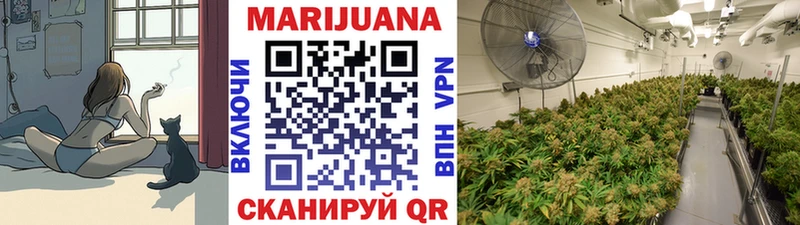 Шишки марихуана индика Белая Холуница