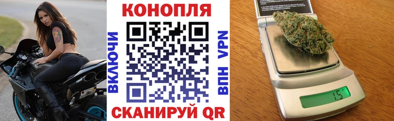 Конопля SATIVA & INDICA  OMG ССЫЛКА  Белая Холуница 